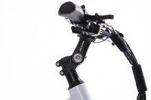 Load image into Gallery viewer, All Go Cargo