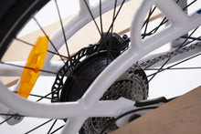 Load image into Gallery viewer, All Go Cargo
