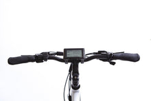 Load image into Gallery viewer, All Go Cargo
